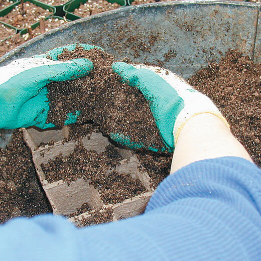 Image of soil preparation for seeding